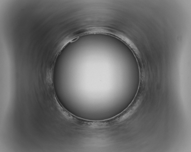 X0000111630905200907171524