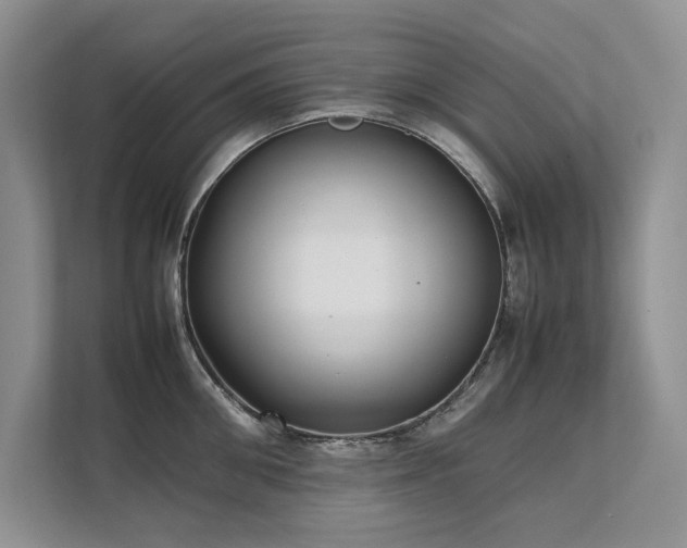 X0000111630906200907171524