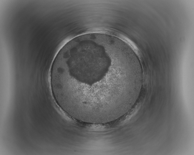 X0000111630907200907171524