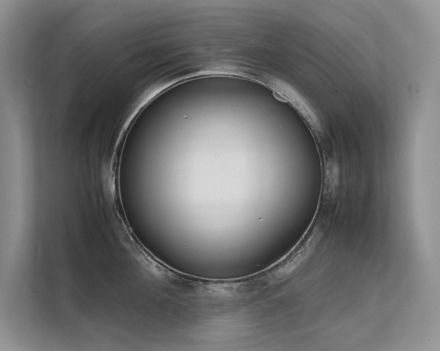 X0000111630908200907171524
