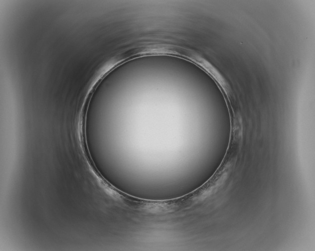 X0000111630909200907171524