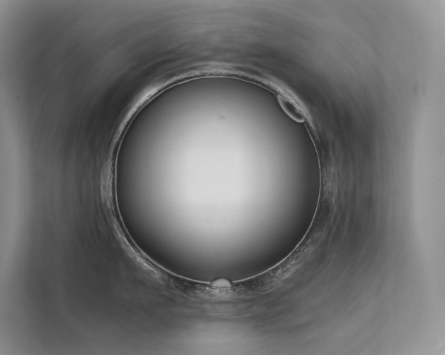 X0000111630911200907171524