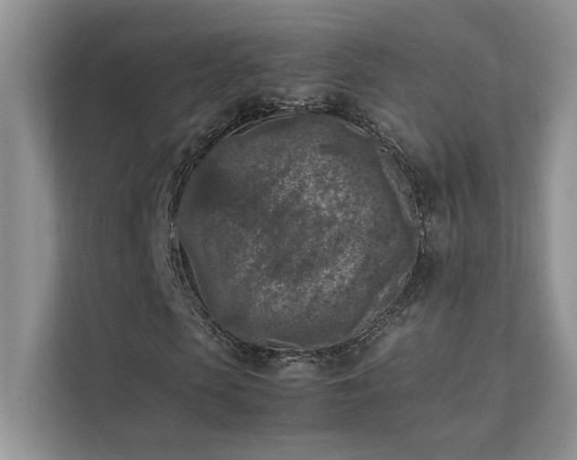 X0000111630913200907171523