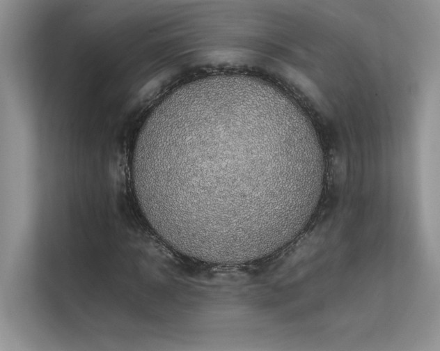 X0000111630918200907171523