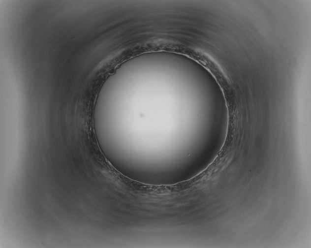 X0000111630919200907171523