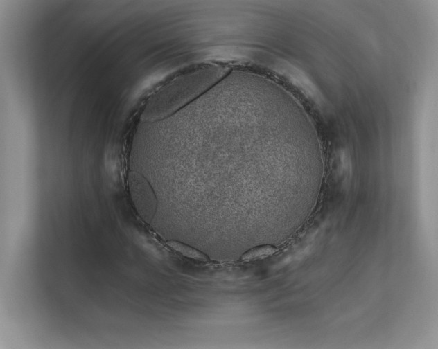 X0000111630920200907171523