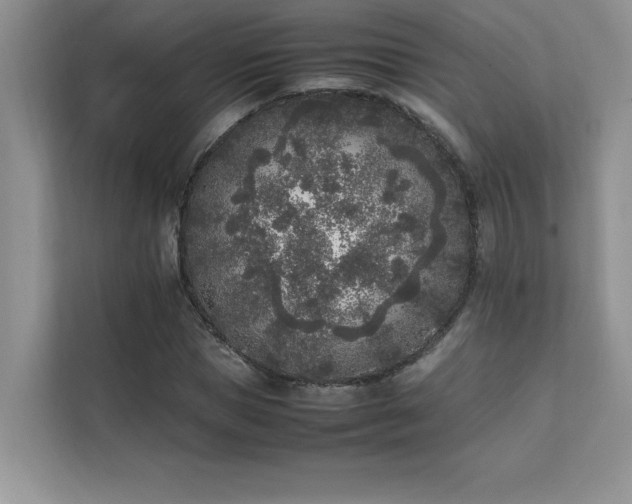 X0000111630921200907171523