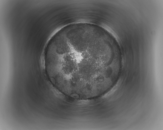 X0000111630925200907171524