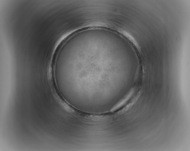 X0000111630928200907171524