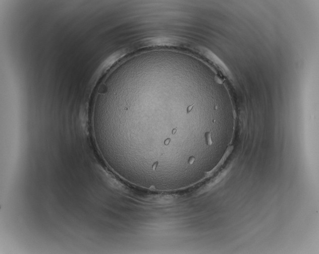 X0000111630930200907171524