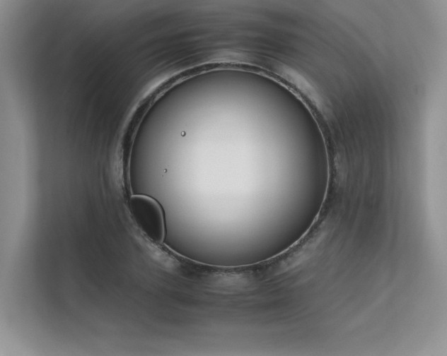 X0000111630931200907171524