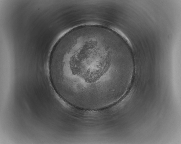X0000111630935200907171524