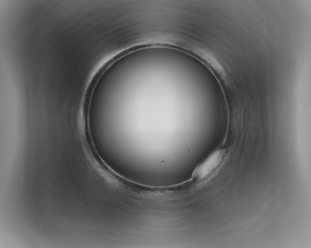 X0000111630936200907171524