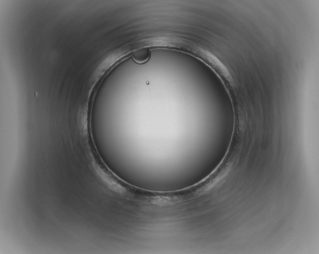X0000111630938200907171524