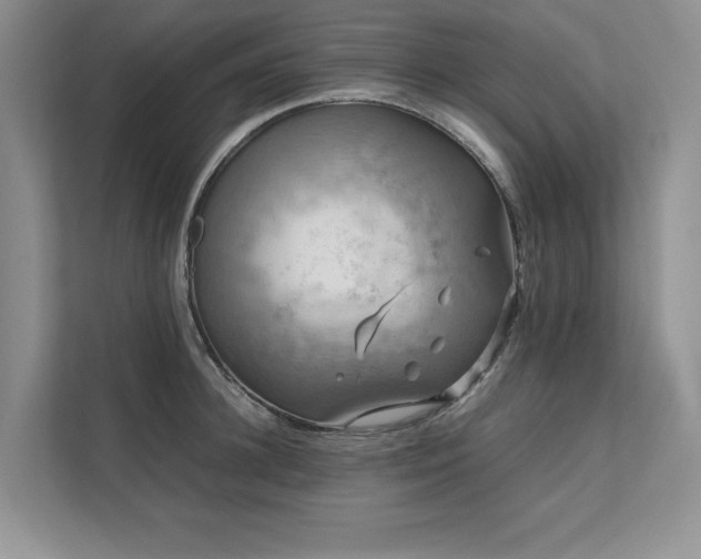X0000111630948200907171524