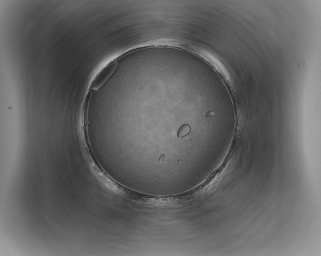 X0000111630952200907171524