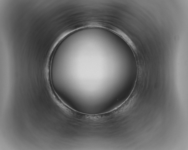 X0000111630955200907171524