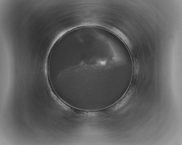 X0000111630958200907171524