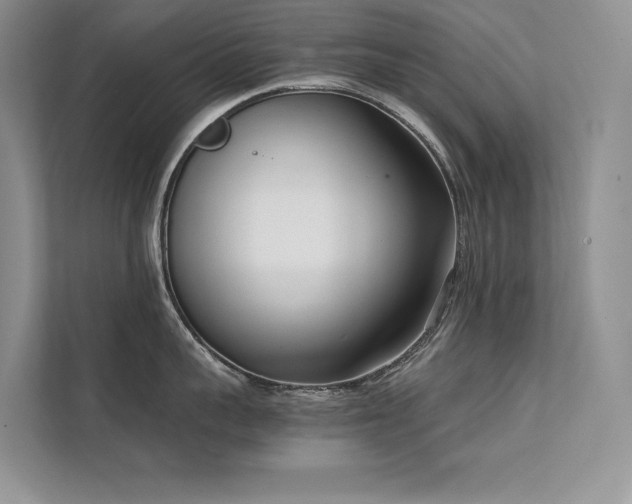 X0000111630959200907171524