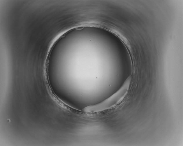 X0000111630960200907171524