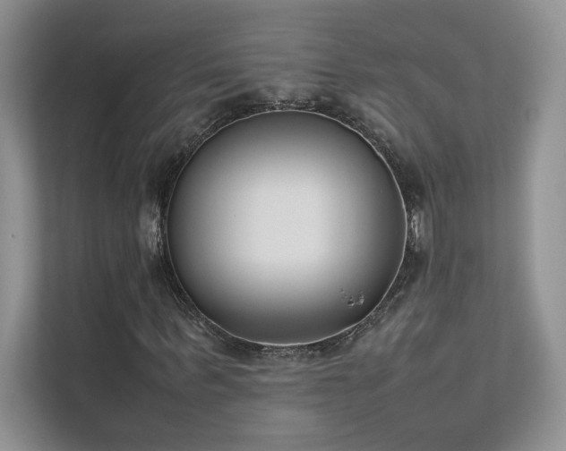 X0000111630963200907171523