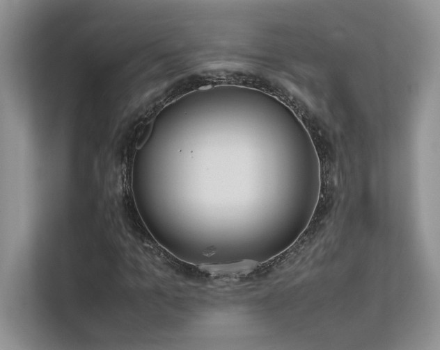 X0000111630965200907171523