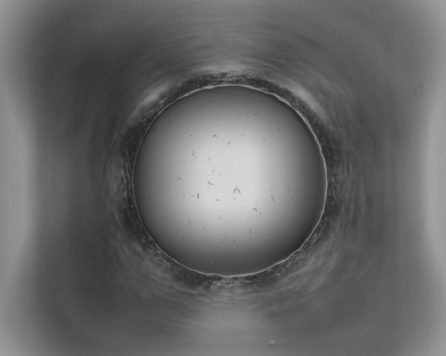 X0000111630967200907171523