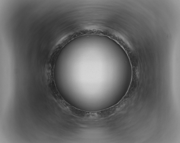 X0000111630968200907171523