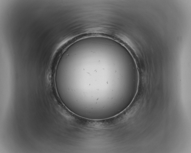 X0000111630971200907171523