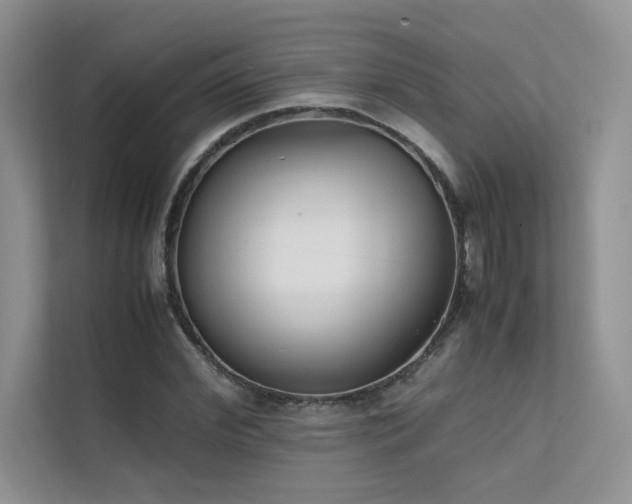 X0000111630972200907171523