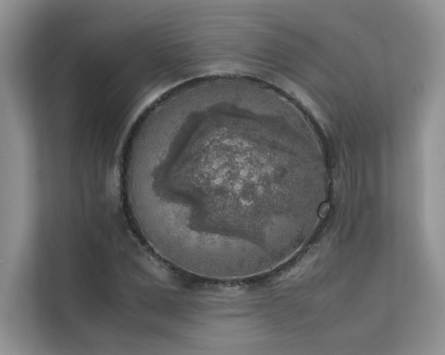 X0000111630975200907171523