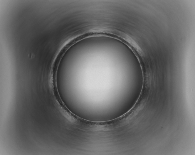 X0000111630976200907171523