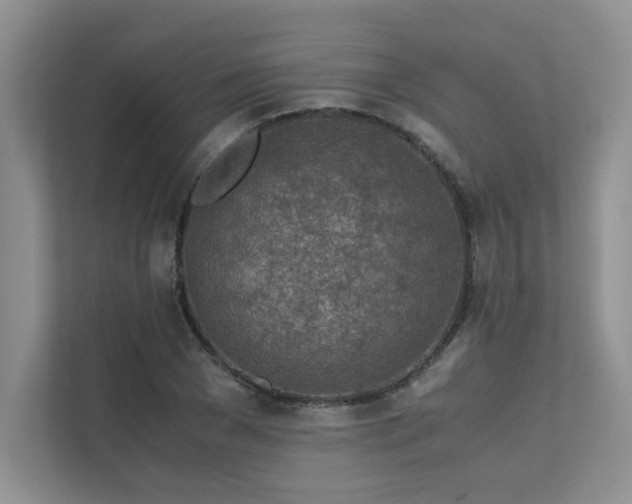 X0000111630977200907171523