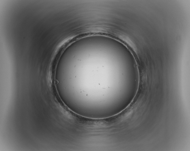 X0000111630979200907171523