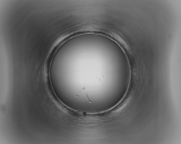 X0000111630981200907171523