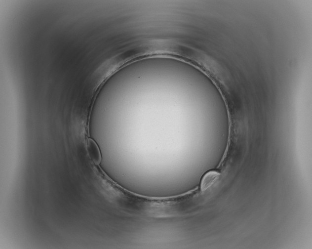 X0000111630985200907171523