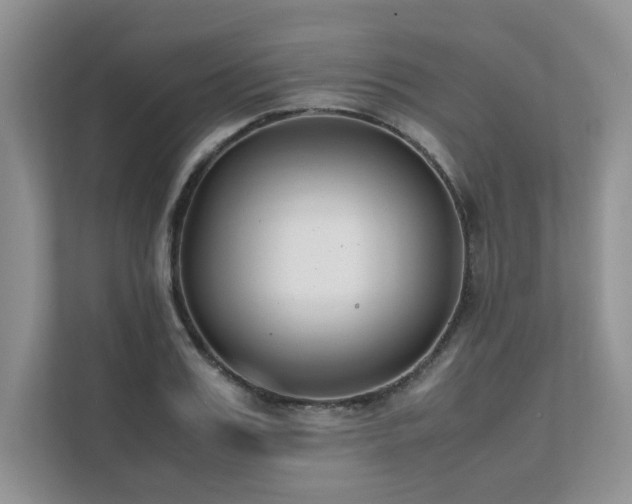 X0000111630987200907171523