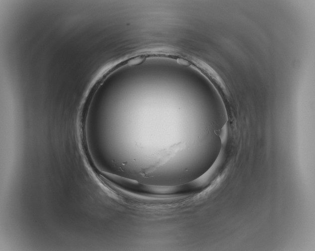X0000111630989200907171523