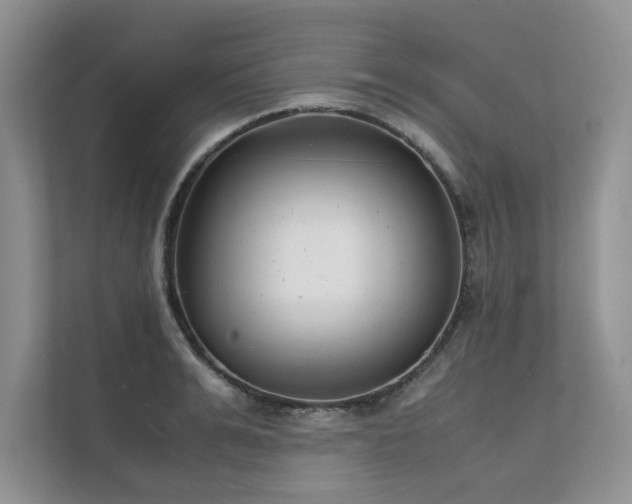 X0000111630991200907171523