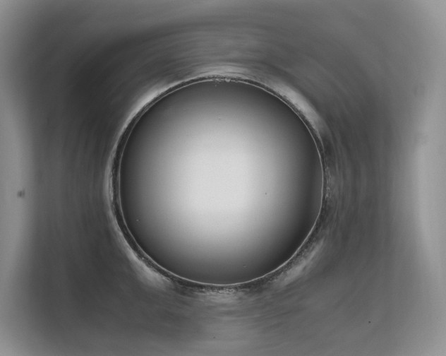 X0000111630999200907171523