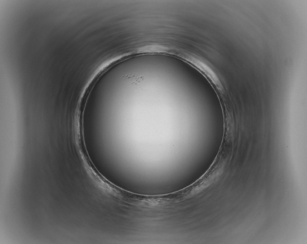 X0000111631000200907171523