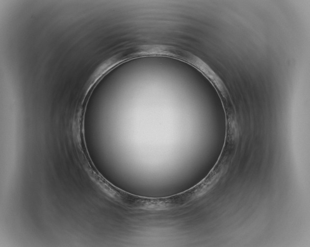 X0000111631002200907171523
