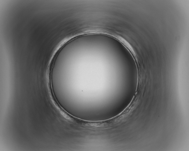 X0000111631005200907171523
