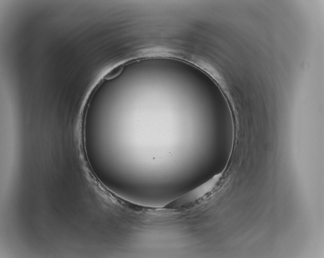 X0000111631008200907171523