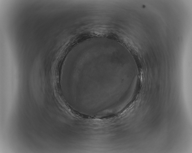 X0000111631009200907171522