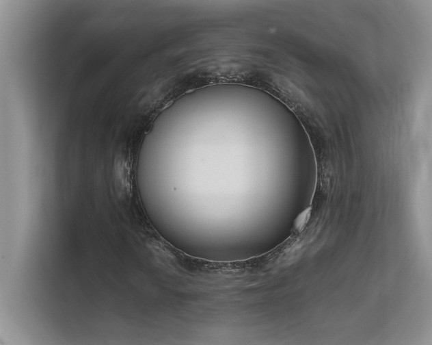 X0000111631010200907171522
