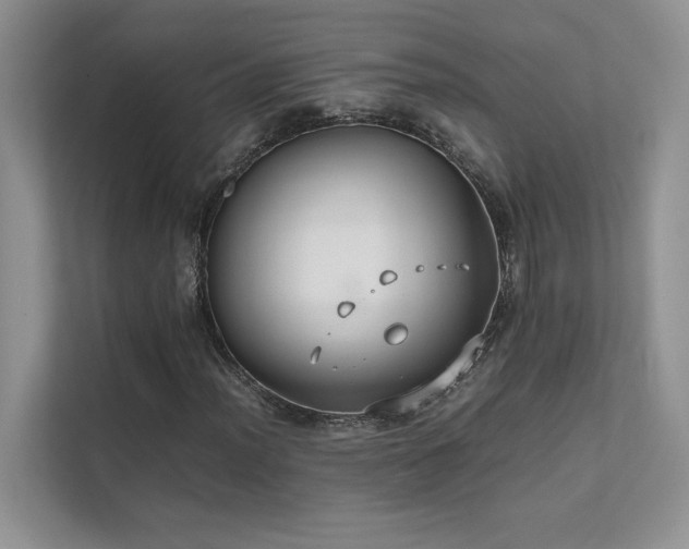 X0000111631012200907171522