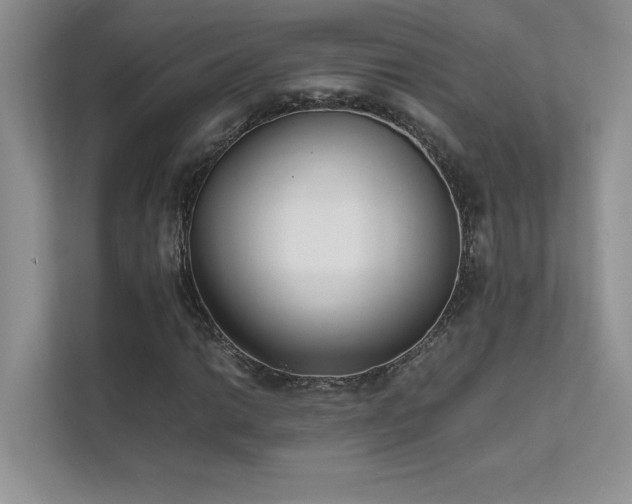 X0000111631014200907171522
