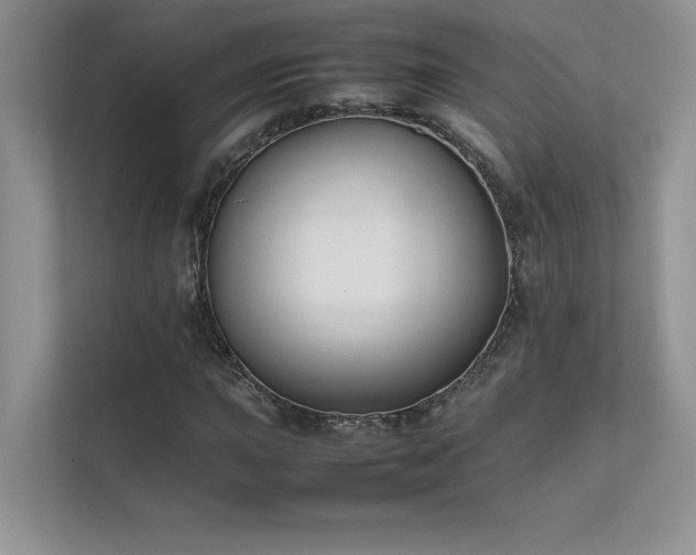 X0000111631015200907171522