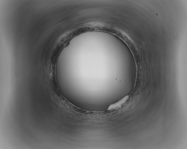 X0000111631016200907171522